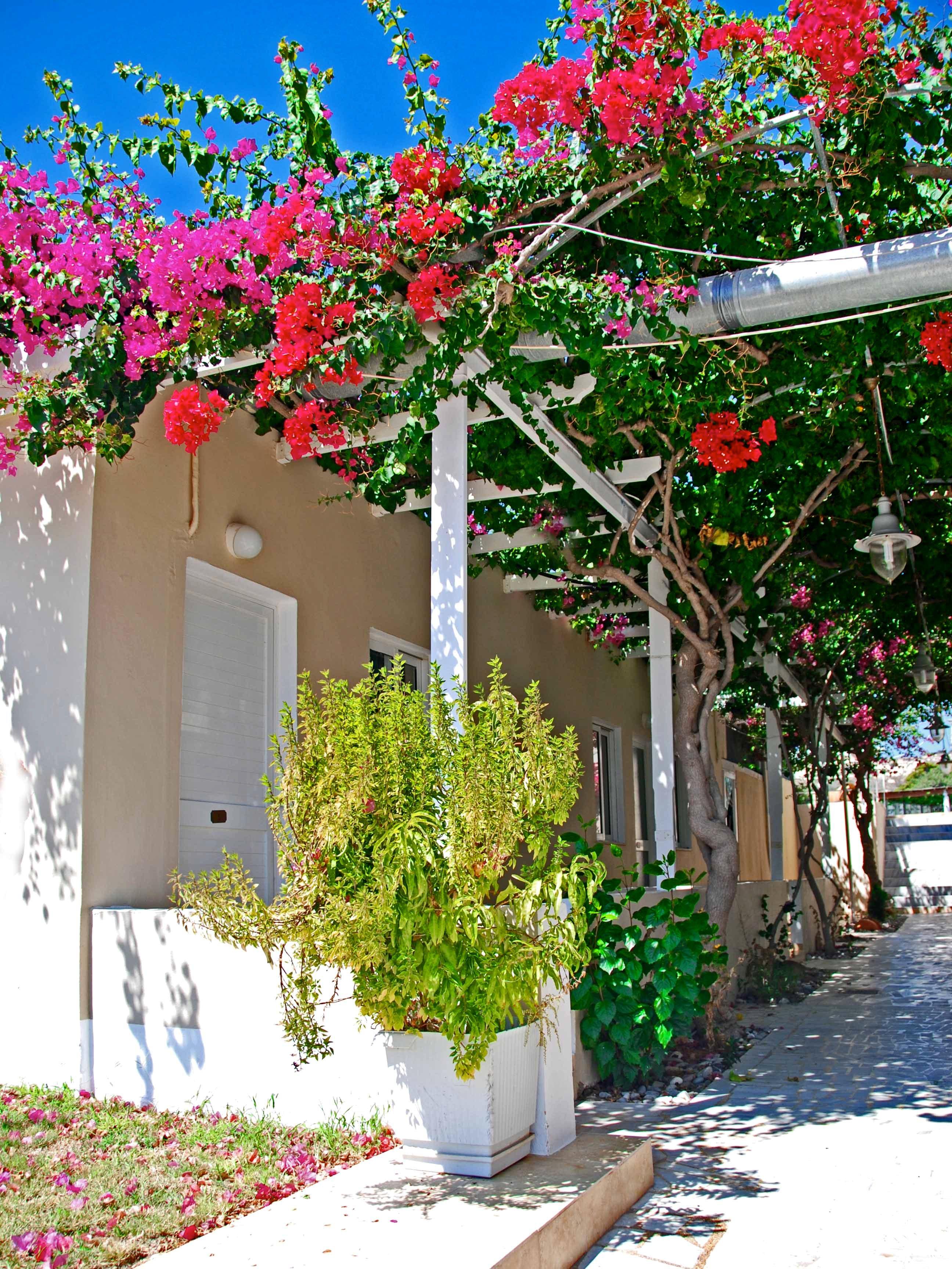 Sacallis Inn Beach Hotel Kéfalos Exterior foto